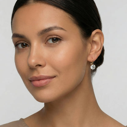 18K Gold Plated Stainless Steel Waterproof Lever back Drop Dangle Cubic Zirconia Earrings